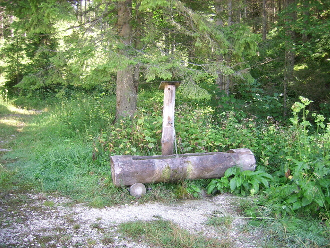 sh08