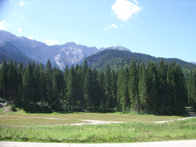 sh09