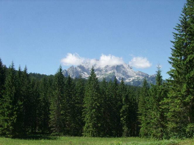 sh17