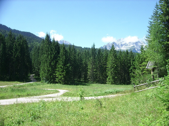 sh18