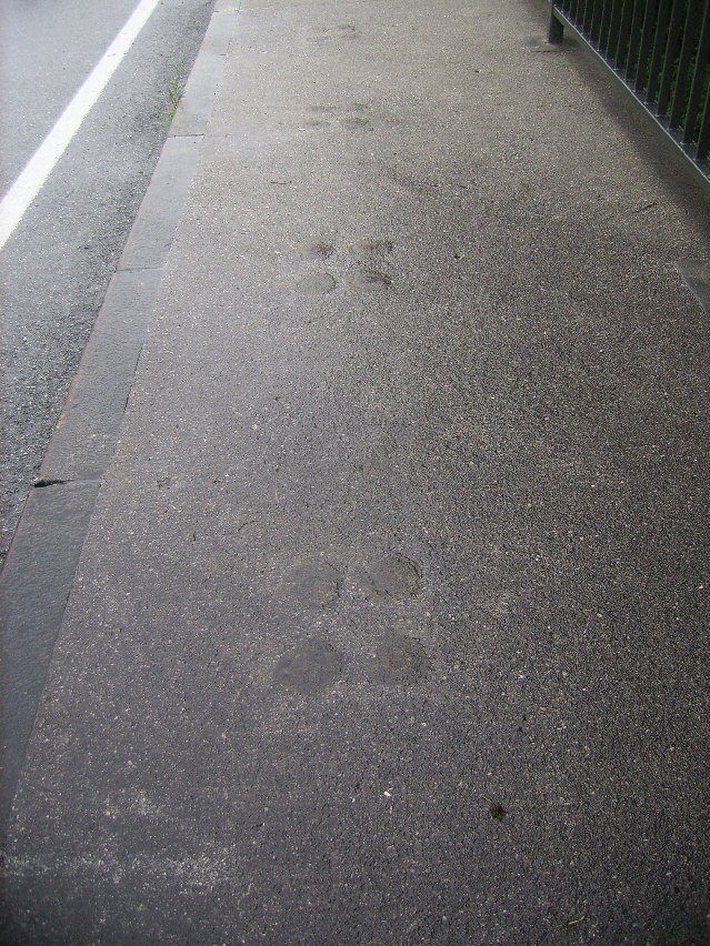 bruecke06 bruecke06