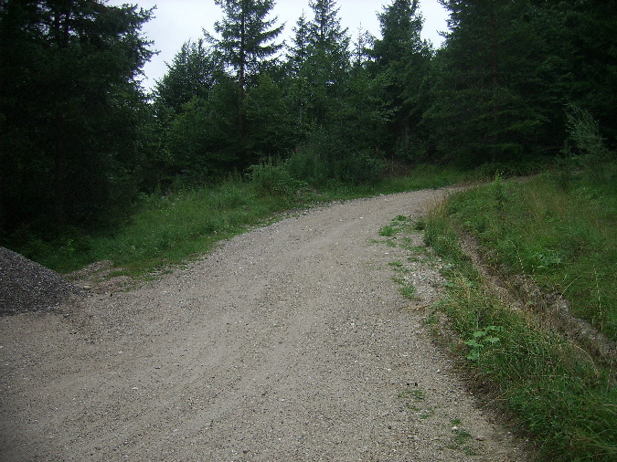 kurve15 kurve15