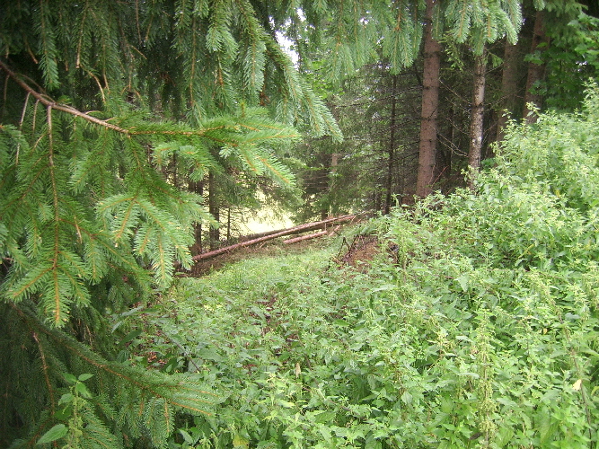 schock-weg01