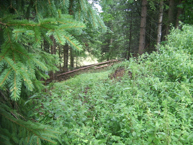 schock-weg02