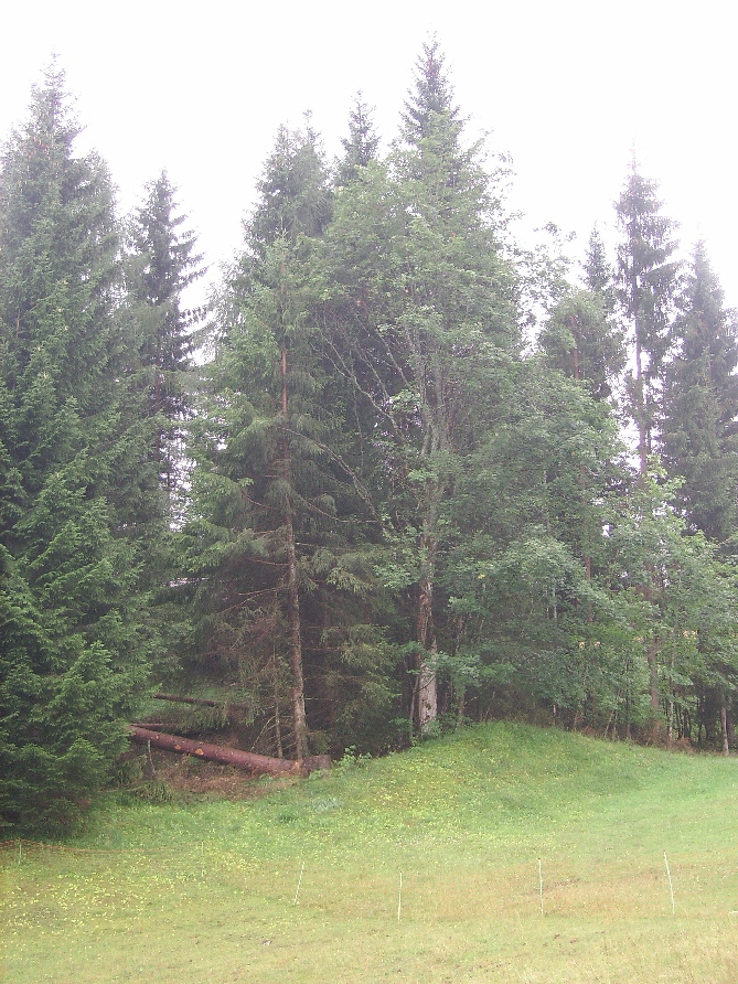 schock-weg03