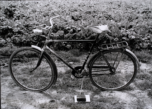 Fahrrad.jpg