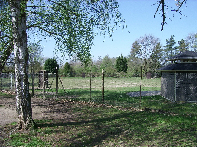 hundeschule01